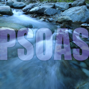 Psoas-Workshop 2024 (nur Kursmaterial)