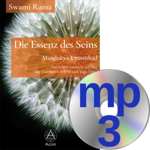 Die Essenz des Seins: Mandukya-Upanishad – Übungen zum Buch